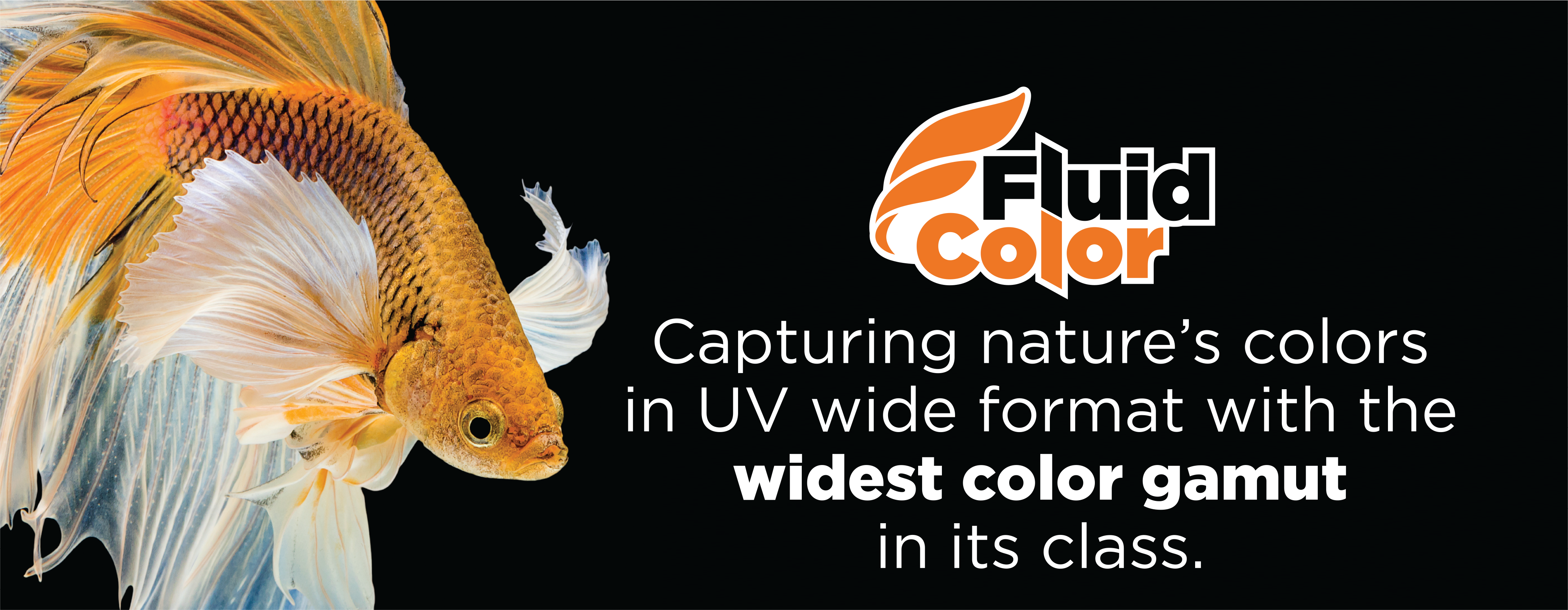 Fluid Color Banner