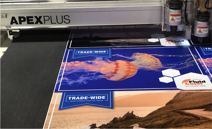 Wholesale print service printer in action